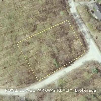 Lot 96 Woodland Court, Trent Lakes, On K0l 1j0