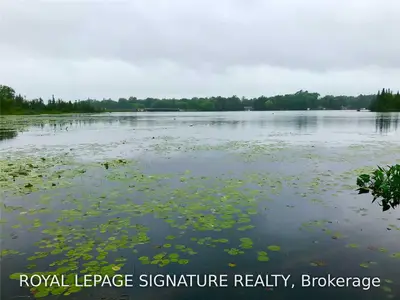 0 Berry Lane, Kawartha Lakes, ON K0M 1A0