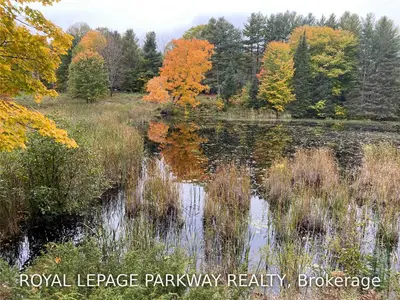 0 Winters Bay Road, North Kawartha, On K0l 1a0