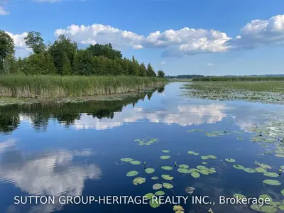 21 Southside Road, Kawartha Lakes, On K9v 4r5