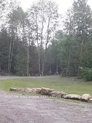 388 County Rd 41 Road, Kawartha Lakes, On K0m 2b0