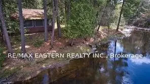 8921 Highway 28 Road, North Kawartha, On K0l 1a0