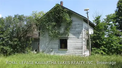 124 Omega Road, Kawartha Lakes, On K0m 2b0