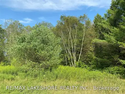 P/L 15 MCDONALD Road, Alnwick/Haldimand, ON K0K 2X0