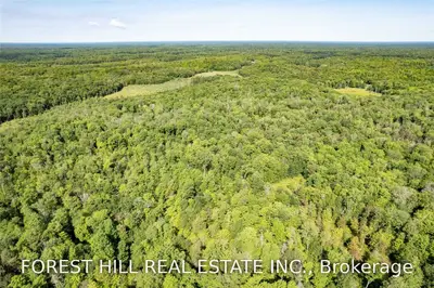 Rosseau Road, Georgian Bay, ON P0C 1H0
