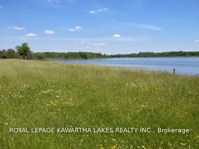 0 O'reilly Lane, Kawartha Lakes, On K0m 2t0