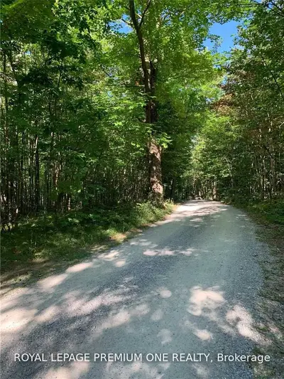 Part 15 Fire Route 71, Trent Lakes, On K0l 1z0
