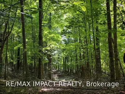 0 BETHEL Road, Minden Hills, ON K0M 2K0