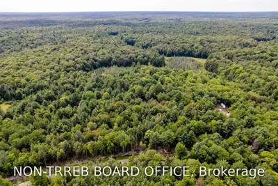 1412 Uffington Road, Bracebridge, On P1l 1x1