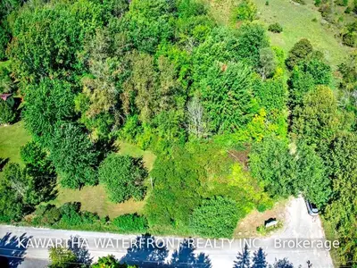 Lot 103 Pl 366 Mcguire Beach Road, Kawartha Lakes, ON K0M 2B0