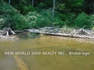 0 Land Blade Island, Trent Lakes, On