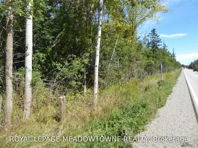 Lot 11 County Road 10 Road, Amaranth, ON L9W 0Z3