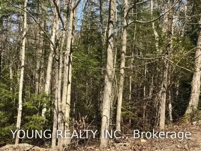 53 Cedar Trail, South Bruce Peninsula, ON N0H 2T0