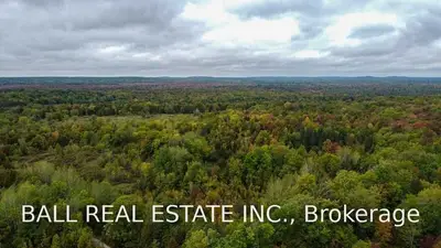 203 County Road 507, Trent Lakes, On K0l 1j0