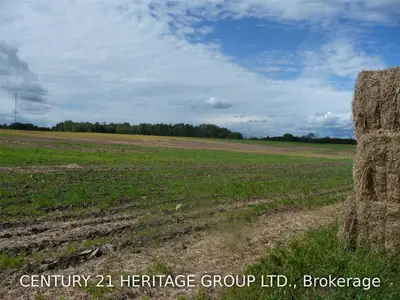 Lot 12 Halter Conc 6 Road, Kawartha Lakes, On K9v 4r4