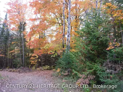 Pt Lots 13 & 14, Con 9, Pt 4, Highlands East, ON K0L 2Y0