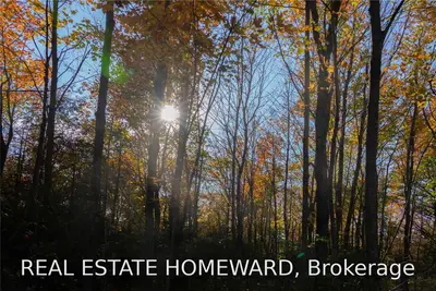 Lot 6 Osprey Artemesia Twn Line, Grey Highlands, ON L9V 0N1