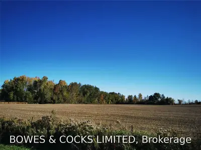 Ptlt4 Con 4 Stoney Creek Road, Kawartha Lakes, On K9v 4r4