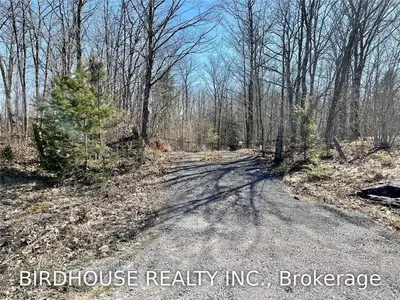 1382 County Road 36, Trent Lakes, On K0m 1a0