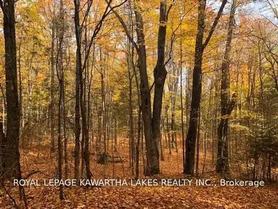 Lot 2-3 Parkside Drive, Toronto W01, On K0a 1a0