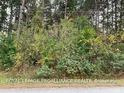 0 Helyer Lot 6 Road, Quinte West, ON K8V 5P4