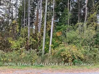 0 Helyer Lot 5 Road, Quinte West, ON K8V 5P4