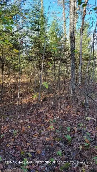 Lot 3 Conc 5, Addington Highlands, ON XOX OXO