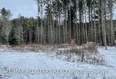 1039 Howland Junction Road, Minden Hills, ON K0M 2A1