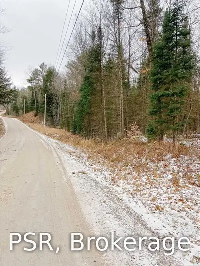 1023B SOUTH RIL LAKE Road, Lake of Bays, ON P0B 1A0