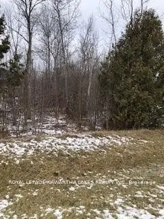 Lt 38 Centennial Park Road, Kawartha Lakes, On K0m 2b0