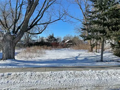 Lt 5 Elgin Street, Kawartha Lakes, On K0m 2m0