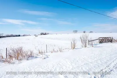 Lot 3 Blackbird Road, Kawartha Lakes, On K9v 4r1