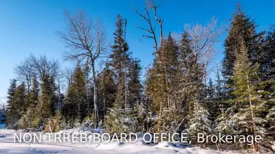Lot 11 Trillium Crossing, Northern Bruce Peninsula, ON N0H 1W0