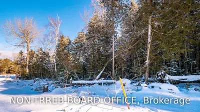 Lot 1 Trillium Crossing, Northern Bruce Peninsula, ON N0H 1W0