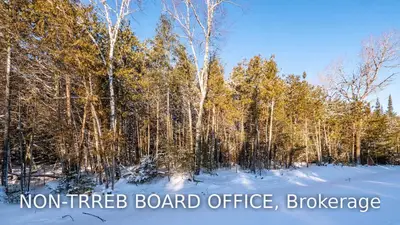 Lot 14 Trillium Crossing, Northern Bruce Peninsula, ON N0H 1W0