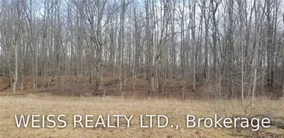 0a William Street, Havelock-belmont-methuen, On 000 000