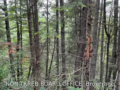 0 Hertitage Trail, Hastings Highlands, ON K0L 2S0