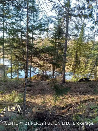 2767 Rail Trail Road, Highlands East, On K0l 2y0
