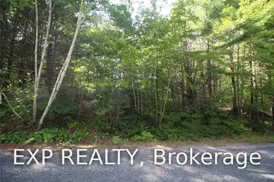 0 PRONTO Road, The North Shore, ON P0R 1A0