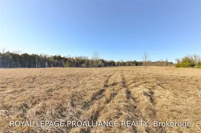 Ptlt 8 French Settlement Road, Tweed, ON K0K 3J0