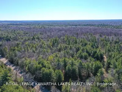 Hugill Road, Kawartha Lakes, ON K0M 1K0