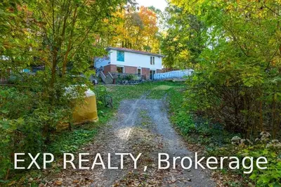 41 Concession 11 East Road, Trent Hills, ON K0L 1Y0