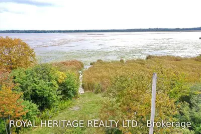 0 Pigeon Lake Road, Kawartha Lakes, On K9v 4r5