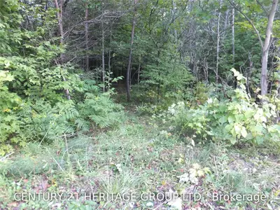 Ptlt 35 Concession 17 Road, Kawartha Lakes, ON K0M 1S0
