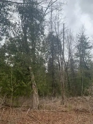 . Pt Lt 98 Con 1, Prince Edward County, ON K0K 1L0