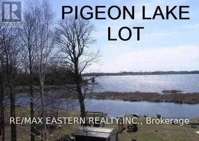 29 Southside Road, Kawartha Lakes, On K0l 2w0