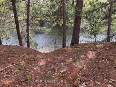 Lot 31 SANDY SHORES Trail, Madawaska Valley, ON K0J 1B0