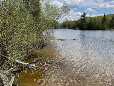 Lot 42 SANDY SHORES Trail, Madawaska Valley, ON K0J 1B0