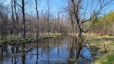 Ptlt 13 Concession 7, Georgian Bluffs, ON N4K 5N5