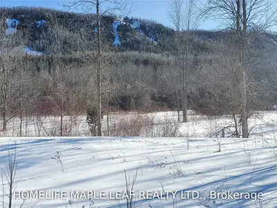 Lot 4 Old Lakeshore Road, Blue Mountains, ON L9V 3Z2